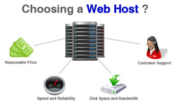 How to Choose the Best Service?